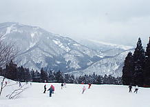 かぐら みつまた