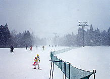 かぐら みつまた