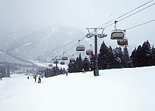 かぐら みつまた