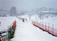 かぐら みつまた