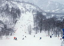 かぐら みつまた