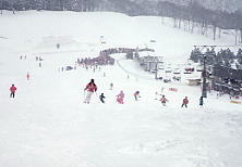 かぐら みつまた