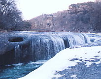 �����̑�