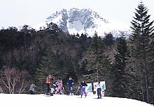 �ۏ�����