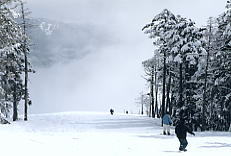 ��x���[�v�E�F�C