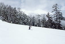 ��x���[�v�E�F�C