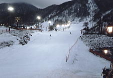 �V�a�ؑ]��