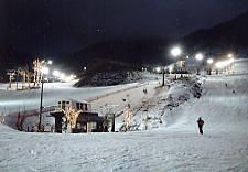 �V�a�ؑ]��