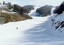 �����ӂ�����