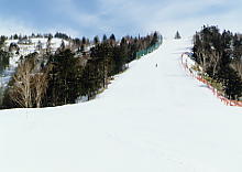 �����ӂ�����