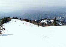 �����ӂ�����