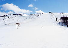 ���C�����q��