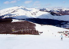 �����΃��C�����q��