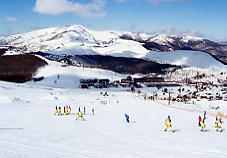 �����΃��C�����q��