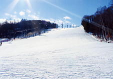 �����΃��C�����q��