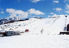 �����΃��C�����q��