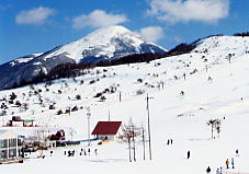 �����΃��C�����q��