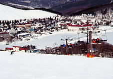 �����΃��C�����q��