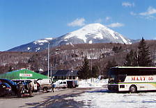 �����΃��C�����q��