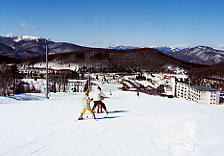 �������]�[�g