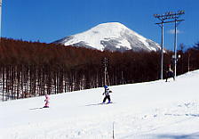 �������]�[�g