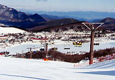 �����΃��C�����q��