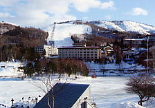 �����΃��C�����q��