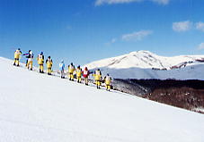 �����΃��C�����q��