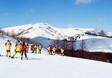 �����΃��C�����q��