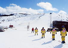 �����΃��C�����q��