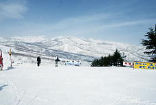 �c��@������@�݂܂�