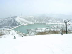 �c��@������@�݂܂�