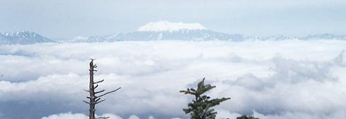 �s���^�X����