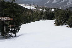 �s���^�X����