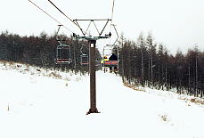 �u�����V���������