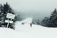 �u�����V���������