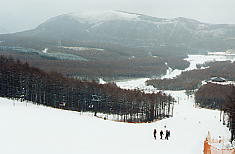 �u�����V���������