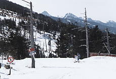 �s���^�X����