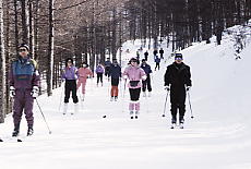 �G�R�[�o���[