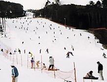 �x�m���p�m���}