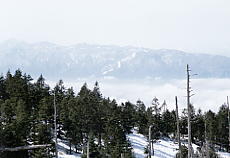 �s���^�X����