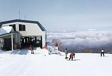 �s���^�X����