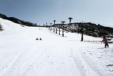 �s���^�X����