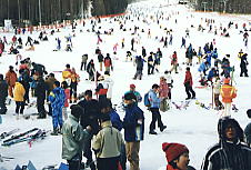 �x�m���p�m���}