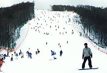 �x�m���p�m���}