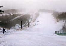 ���͍���