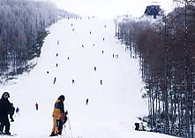 �n���^�[�}�E���e��