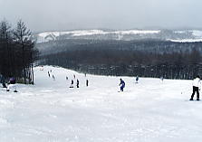 ���C�v���q��