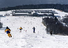 ���C�v���q��