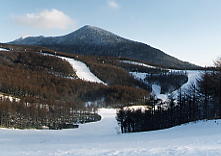 ���C�v���q��